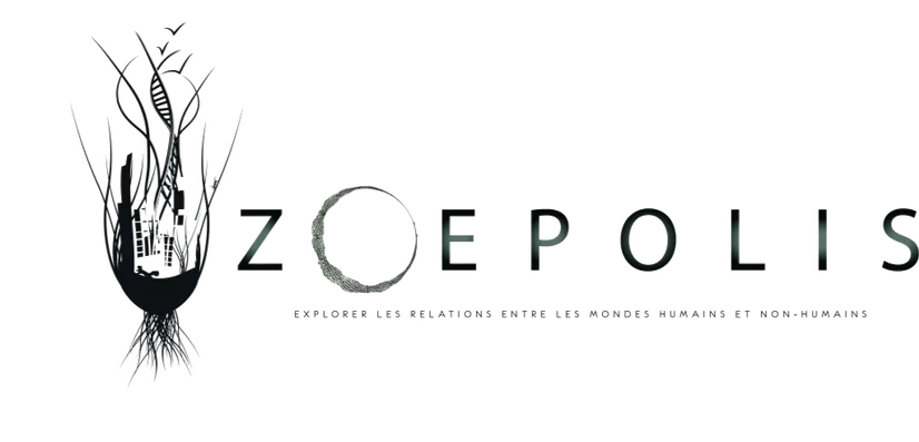 Zeopolis Zeopolis