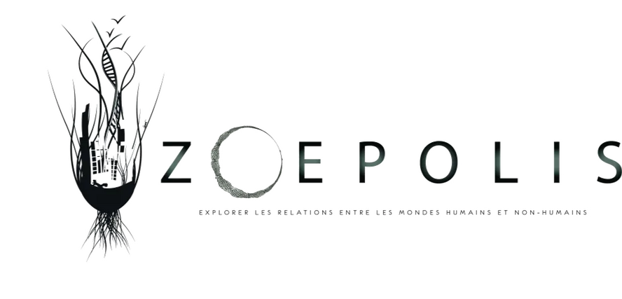 Zeopolis Zeopolis